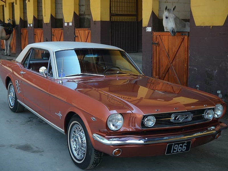 MUSTANG 1966 HARD TOP