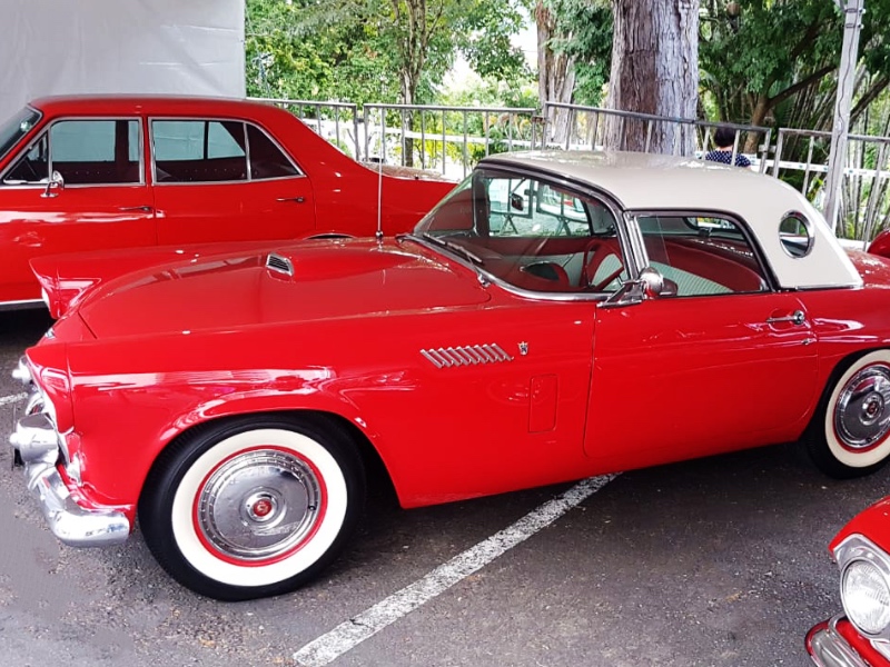 THUNDERBIRD 1956