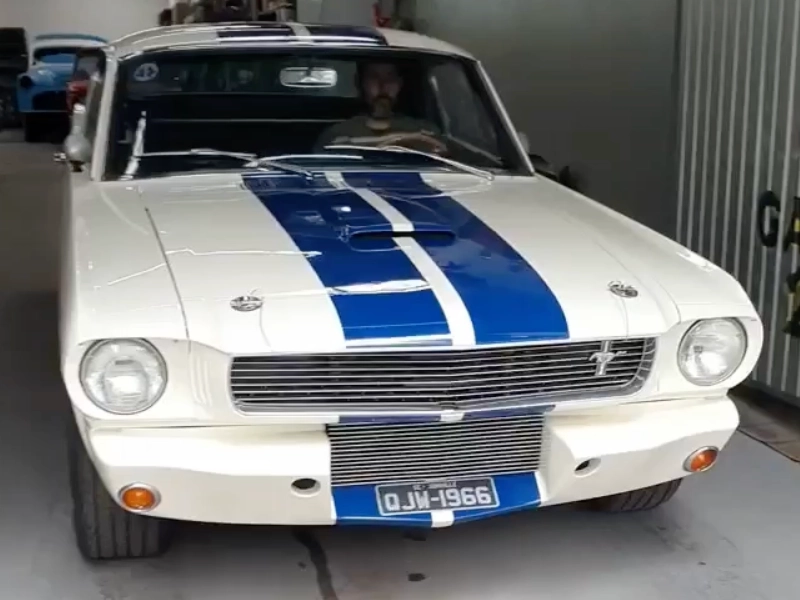 Mustang 66 GT 350